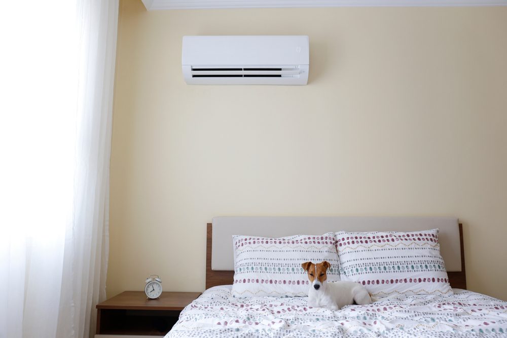 7 HVAC Tips For Pet Owners