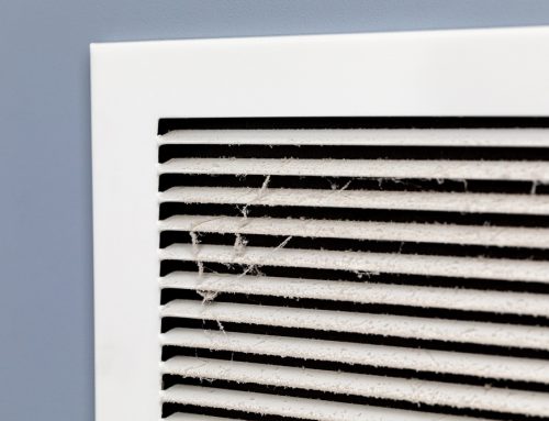 Maintaining Your HVAC System with Pets at Home